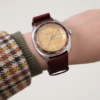 Hamilton American Classic Pan Europ Day Date Auto Watch - H35435820 - 10