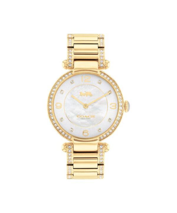 Coach Cary Steel 34mm Watch - 14503832