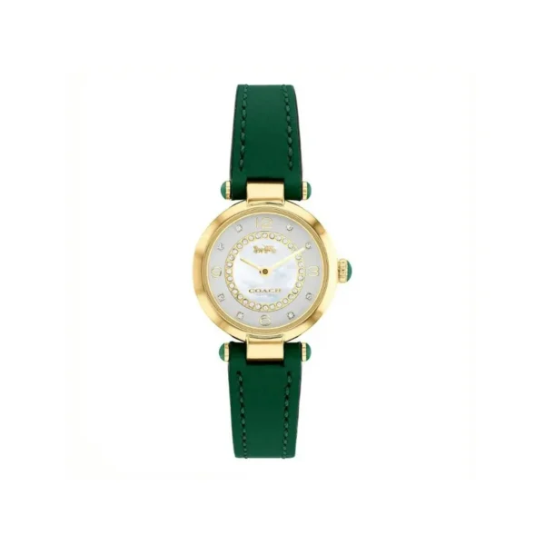 Coach Cary Gold Tone Green Leather Strap 26mm Watch - 14503894