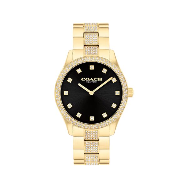 Coach Brooks Gold Tone with Crystal Accents, 38mm Watch - 14400035